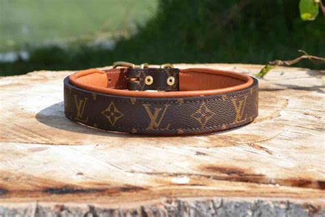 louis vuitton bowl|dog Louis Vuitton collar.